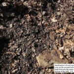 Old coal bank at Lyburn, Lyburn, WV