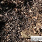 Old coal bank at Lyburn, Lyburn, WV