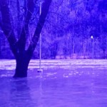 Logan, WV 1963 flood