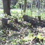 Graves at Chauncy, Logan County, WV. L-R George Thompson (1896-1957), Bessie Chittum Thompson (1900-1934), John Petroff (1877-1943), Mary Staggs Petroff (1900-1930)
